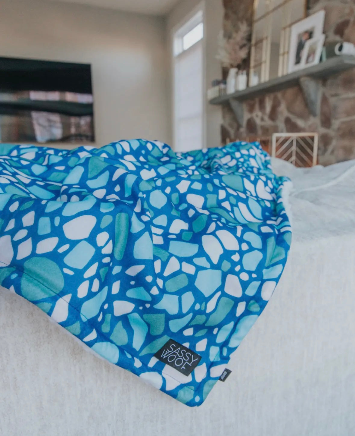 Pet Blanket - Teal