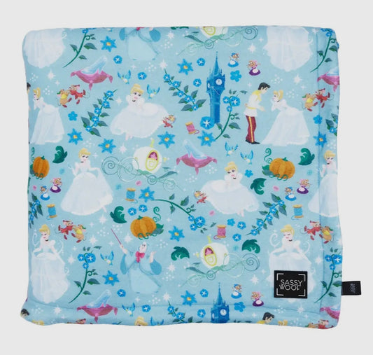 Pet Blanket - Cinderella