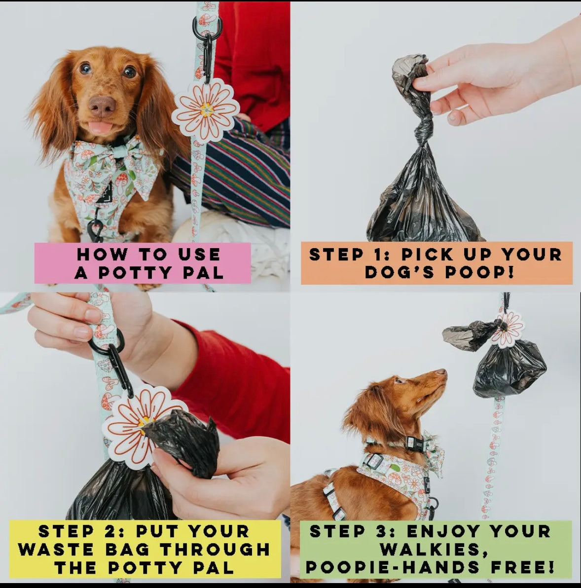 Potty Pal - Shell