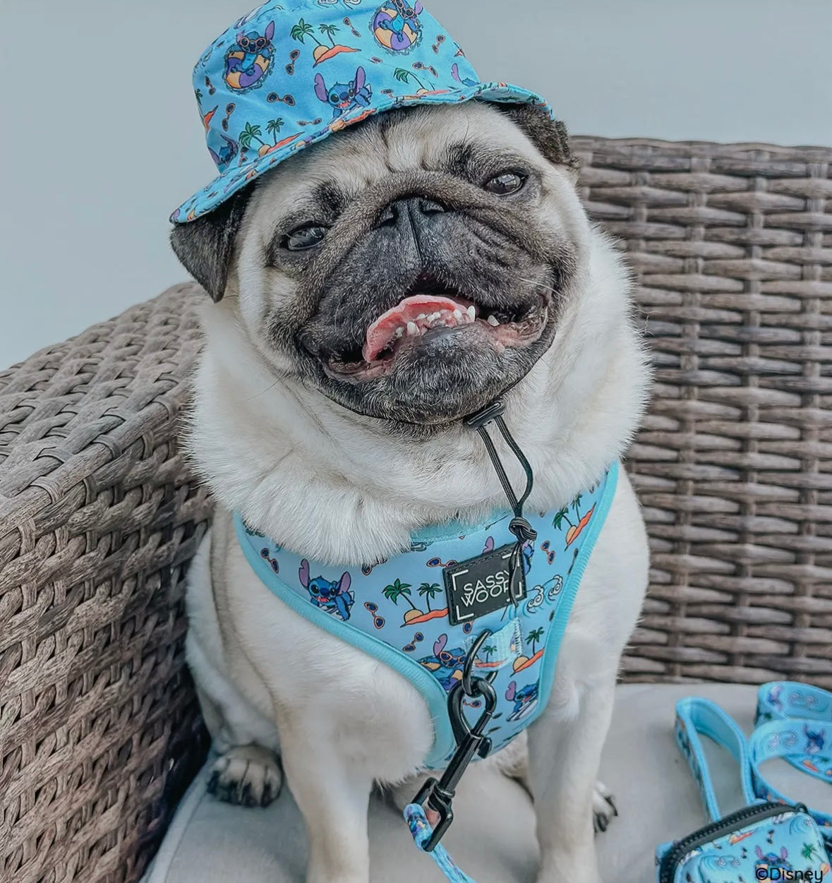 Stitch Set