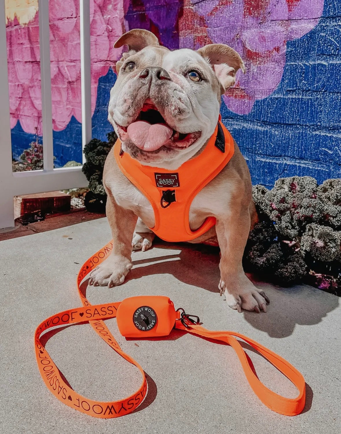 Neon Orange Set