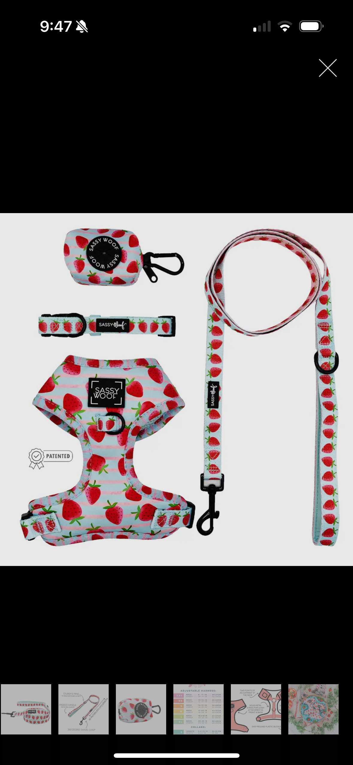 Strawberry Set