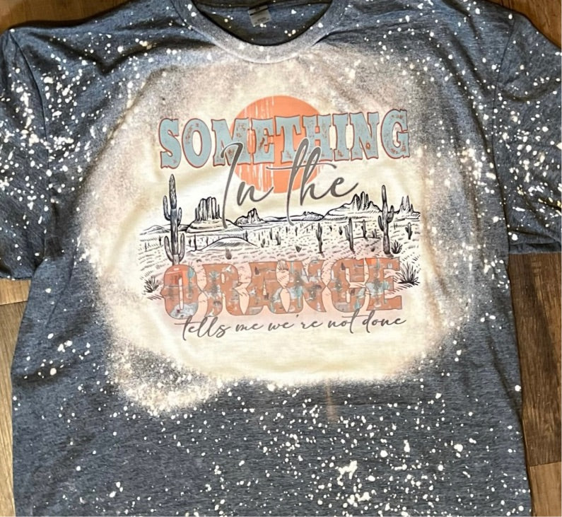 Something In The Orange Preorder